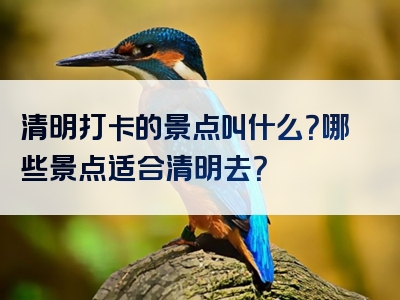 清明打卡的景点叫什么？哪些景点适合清明去？