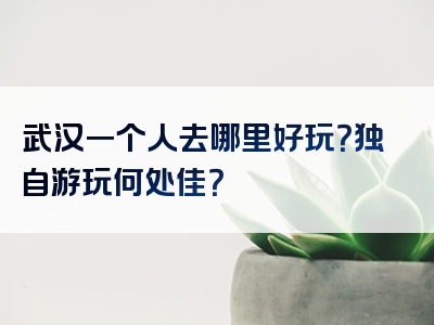 武汉一个人去哪里好玩？独自游玩何处佳？