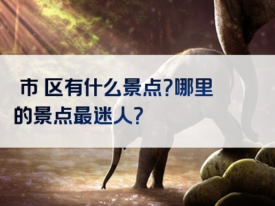 堺市堺区有什么景点？哪里的景点最迷人？