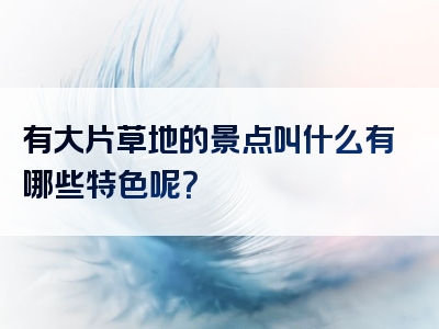 有大片草地的景点叫什么有哪些特色呢？