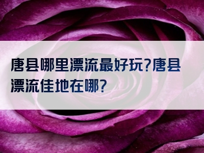 唐县哪里漂流最好玩？唐县漂流佳地在哪？