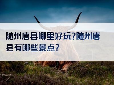 随州唐县哪里好玩？随州唐县有哪些景点？