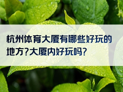 杭州体育大厦有哪些好玩的地方？大厦内好玩吗？