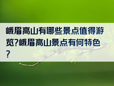 峨眉高山有哪些景点值得游览？峨眉高山景点有何特色？