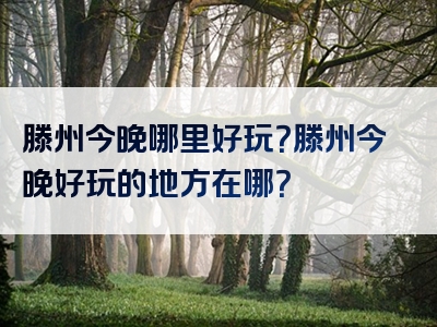 滕州今晚哪里好玩？滕州今晚好玩的地方在哪？
