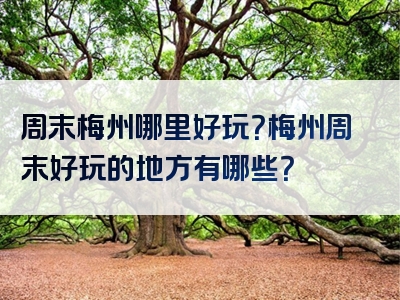 周末梅州哪里好玩？梅州周末好玩的地方有哪些？