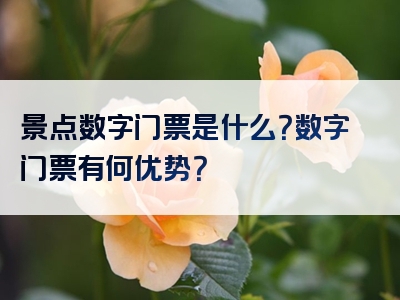 景点数字门票是什么？数字门票有何优势？