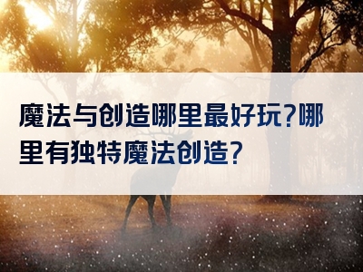 魔法与创造哪里最好玩？哪里有独特魔法创造？