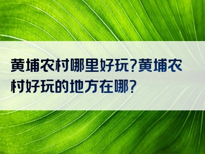 黄埔农村哪里好玩？黄埔农村好玩的地方在哪？