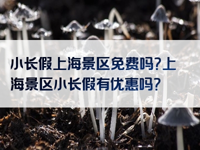 小长假上海景区免费吗？上海景区小长假有优惠吗？