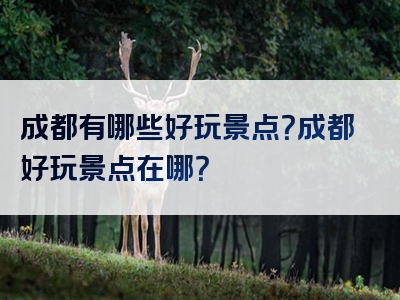 成都有哪些好玩景点？成都好玩景点在哪？