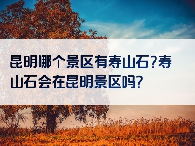 昆明哪个景区有寿山石？寿山石会在昆明景区吗？