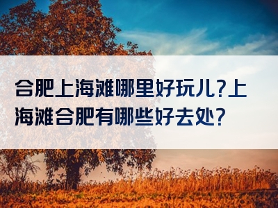 合肥上海滩哪里好玩儿？上海滩合肥有哪些好去处？