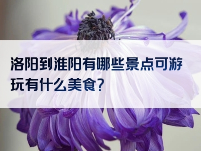 洛阳到淮阳有哪些景点可游玩有什么美食？