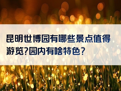 昆明世博园有哪些景点值得游览？园内有啥特色？