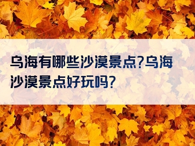 乌海有哪些沙漠景点？乌海沙漠景点好玩吗？