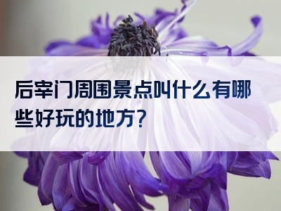 后宰门周围景点叫什么有哪些好玩的地方？