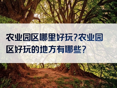 农业园区哪里好玩？农业园区好玩的地方有哪些？