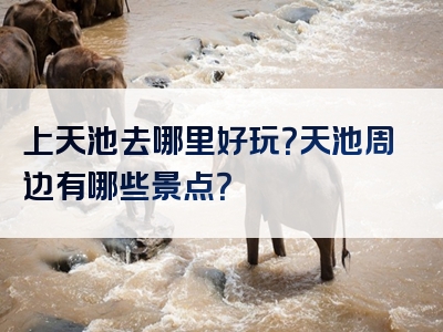 上天池去哪里好玩？天池周边有哪些景点？