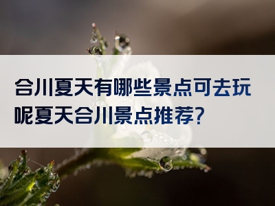 合川夏天有哪些景点可去玩呢夏天合川景点推荐？