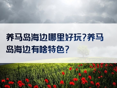 养马岛海边哪里好玩？养马岛海边有啥特色？