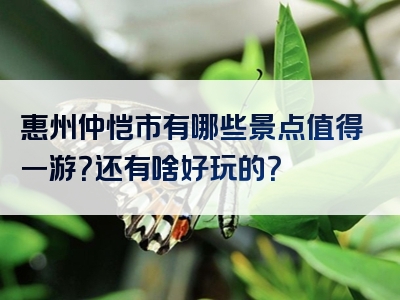 惠州仲恺市有哪些景点值得一游？还有啥好玩的？