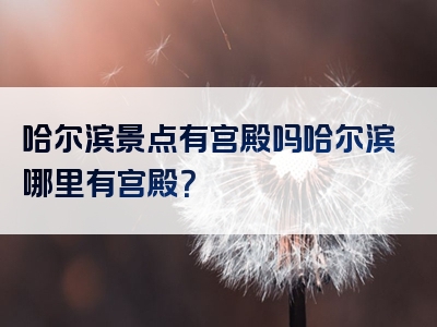 哈尔滨景点有宫殿吗哈尔滨哪里有宫殿？