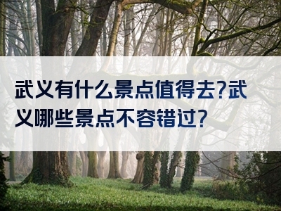 武义有什么景点值得去？武义哪些景点不容错过？