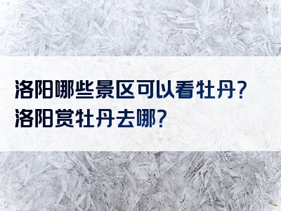 洛阳哪些景区可以看牡丹？洛阳赏牡丹去哪？