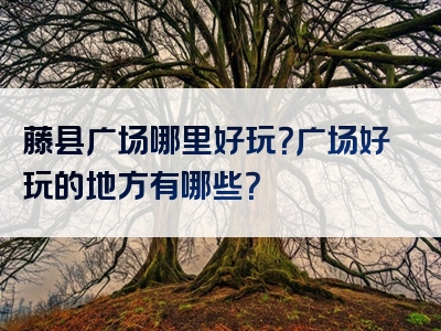 藤县广场哪里好玩？广场好玩的地方有哪些？