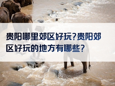 贵阳哪里郊区好玩？贵阳郊区好玩的地方有哪些？