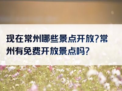 现在常州哪些景点开放？常州有免费开放景点吗？