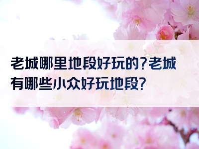 老城哪里地段好玩的？老城有哪些小众好玩地段？