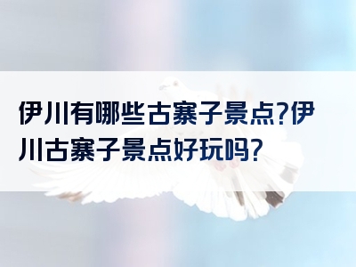 伊川有哪些古寨子景点？伊川古寨子景点好玩吗？