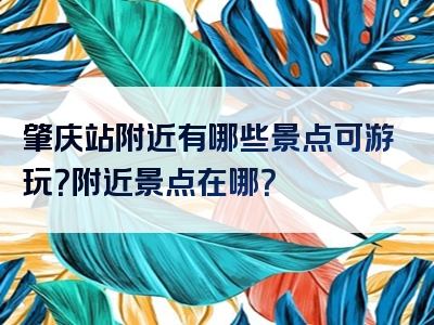 肇庆站附近有哪些景点可游玩？附近景点在哪？