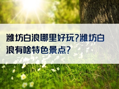 潍坊白浪哪里好玩？潍坊白浪有啥特色景点？