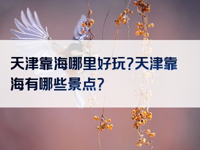 天津靠海哪里好玩？天津靠海有哪些景点？