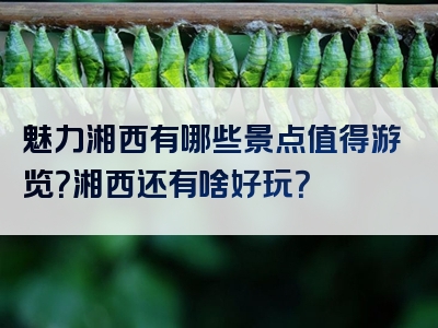 魅力湘西有哪些景点值得游览？湘西还有啥好玩？