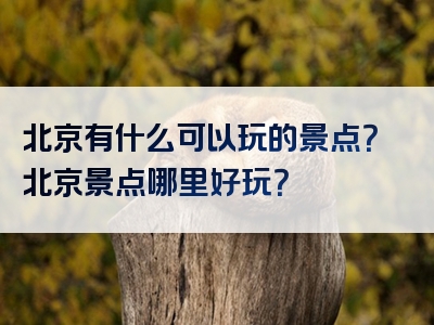 北京有什么可以玩的景点？北京景点哪里好玩？