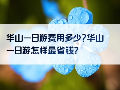 华山一日游费用多少？华山一日游怎样最省钱？