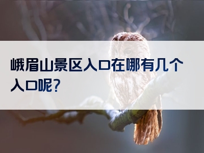 峨眉山景区入口在哪有几个入口呢？