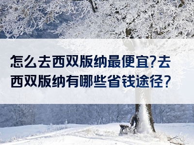 怎么去西双版纳最便宜？去西双版纳有哪些省钱途径？