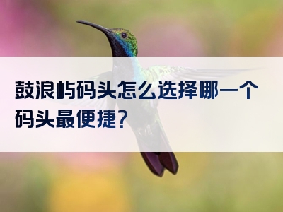鼓浪屿码头怎么选择哪一个码头最便捷？