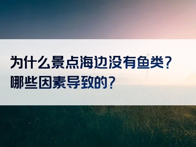 为什么景点海边没有鱼类？哪些因素导致的？