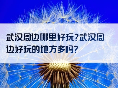 武汉周边哪里好玩？武汉周边好玩的地方多吗？