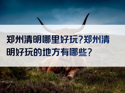 郑州清明哪里好玩？郑州清明好玩的地方有哪些？