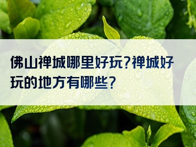 佛山禅城哪里好玩？禅城好玩的地方有哪些？
