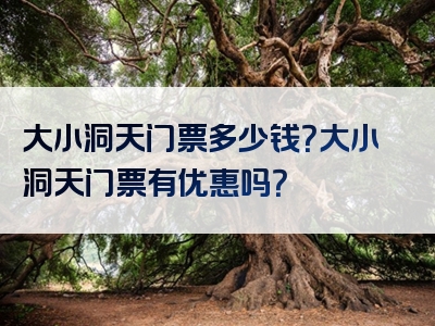 大小洞天门票多少钱？大小洞天门票有优惠吗？