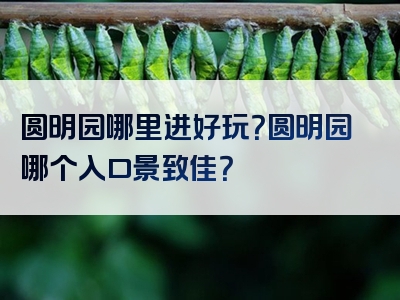 圆明园哪里进好玩？圆明园哪个入口景致佳？