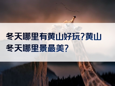 冬天哪里有黄山好玩？黄山冬天哪里景最美？